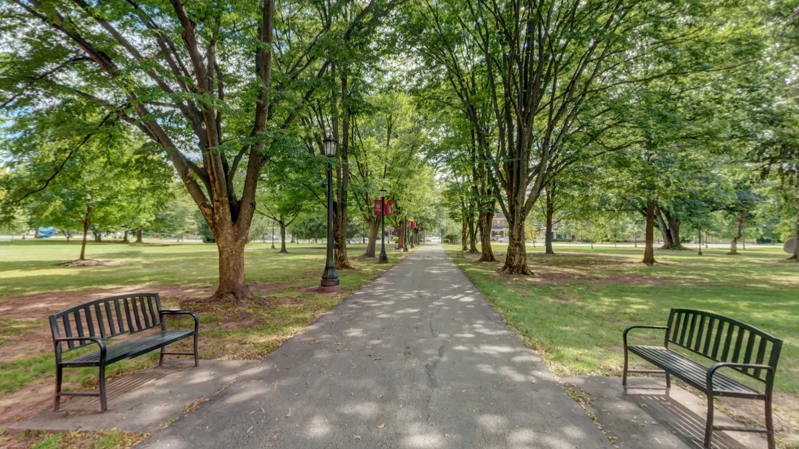 The walk and lawn outside Myrin Library