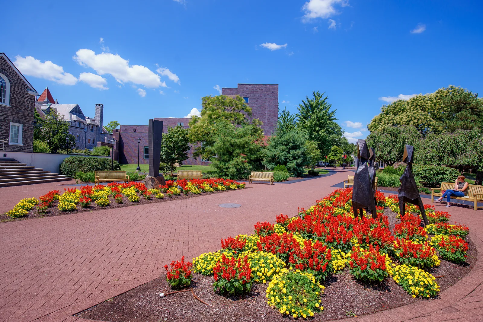 Summer flowers on the Berman plaza