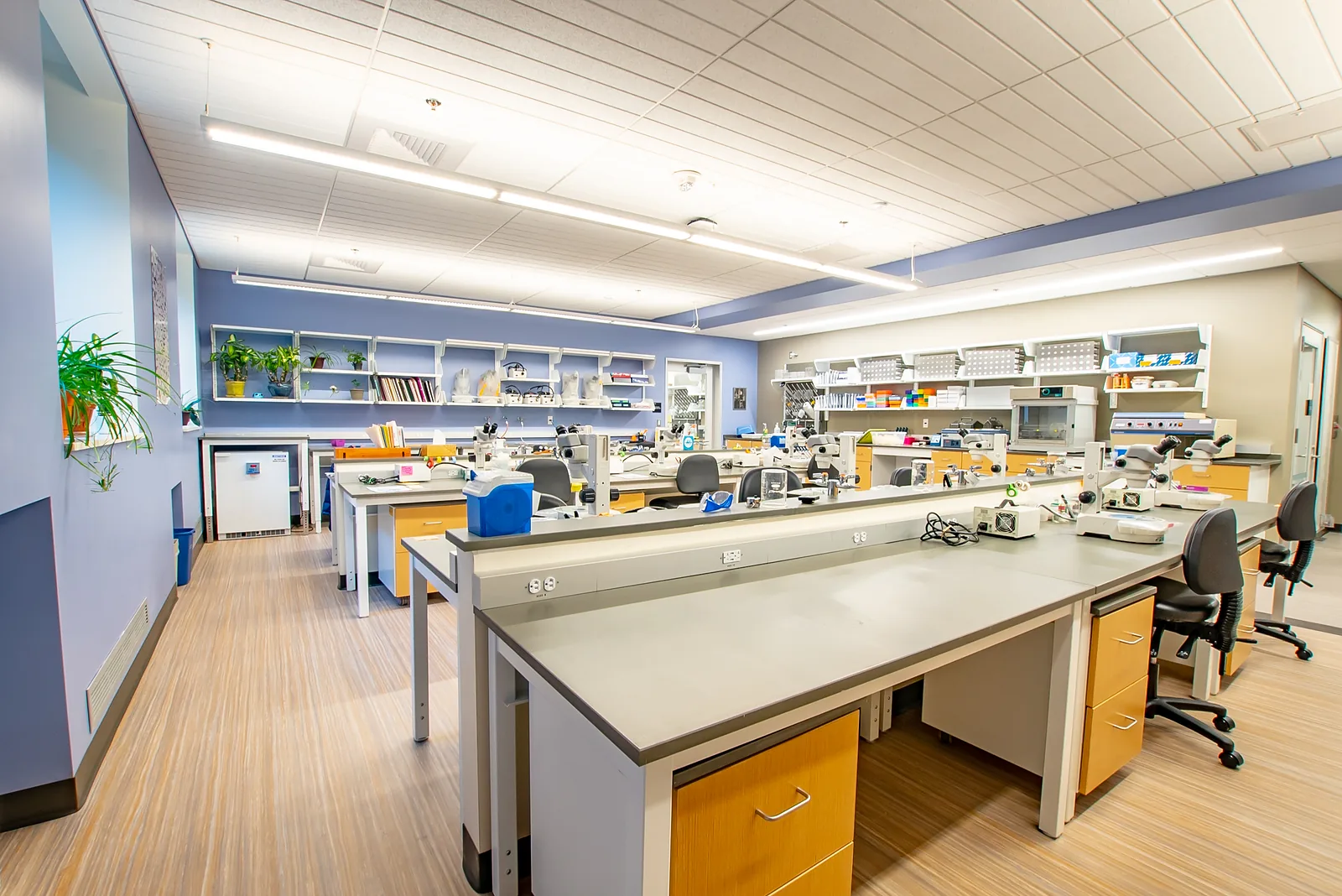 A teaching laboratory at Ursinus College