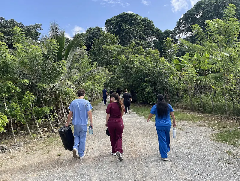 A group walking a woodland path