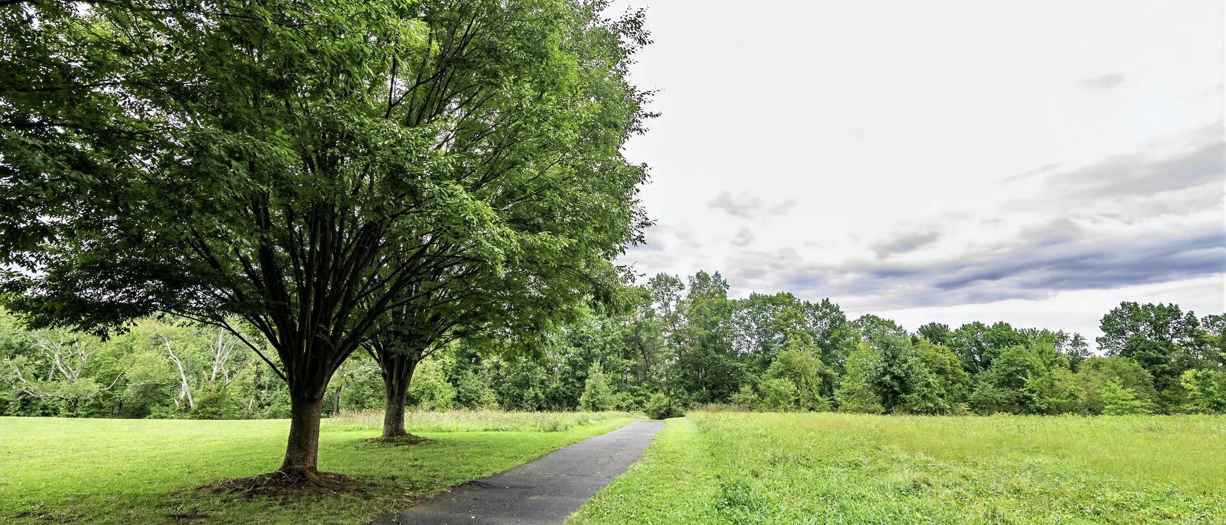 Hunsberger Woods & Campus Farm at Ursinus College — frame 1 of 4