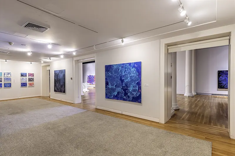 Berman Museum of Art at Ursinus College — frame 11 of 16