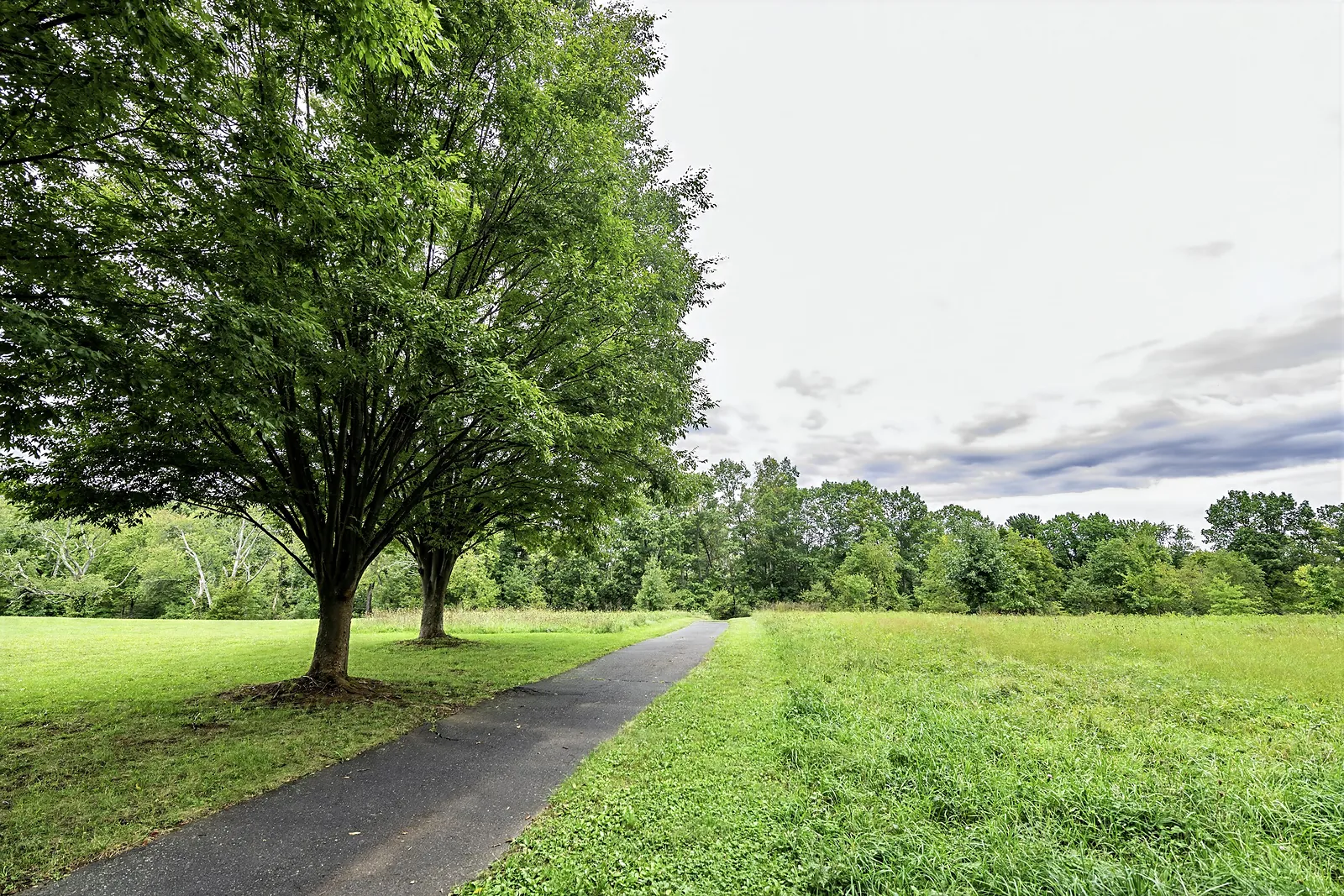 Hunsberger Woods & Campus Farm at Ursinus College — frame 1 of 4