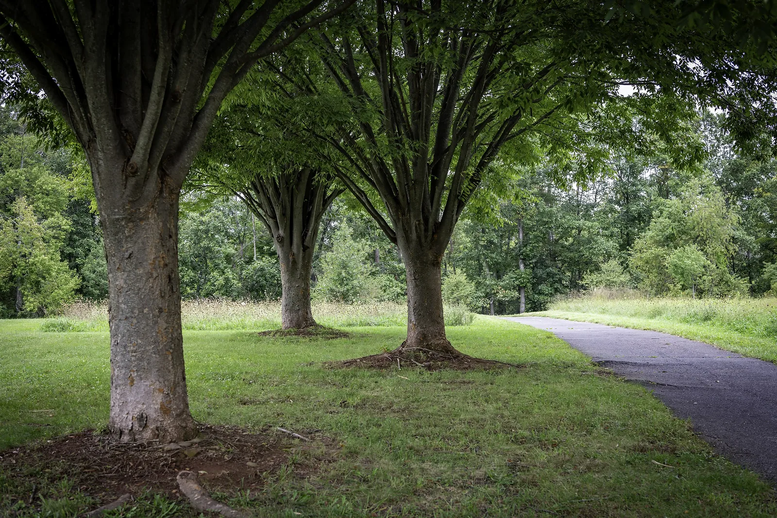 Hunsberger Woods & Campus Farm at Ursinus College — frame 4 of 4
